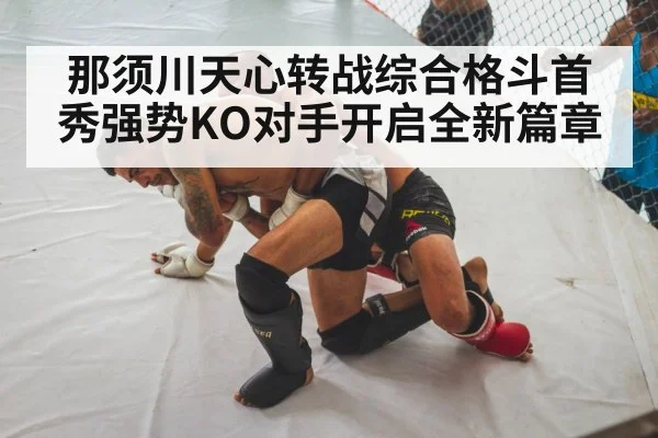 MMA knockout fight