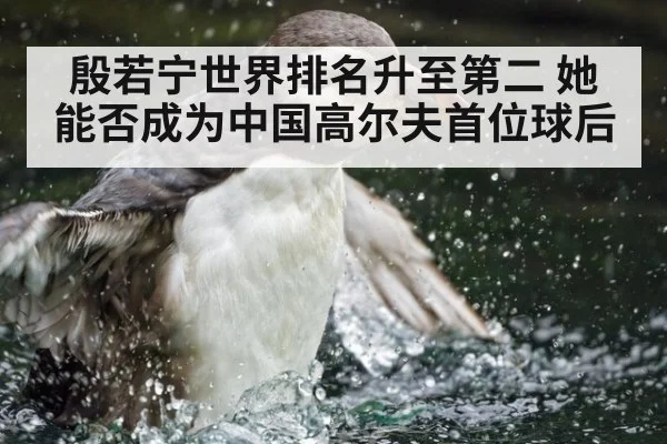 殷若宁世界排名升至第二 她能否成为中国高尔夫首位球后